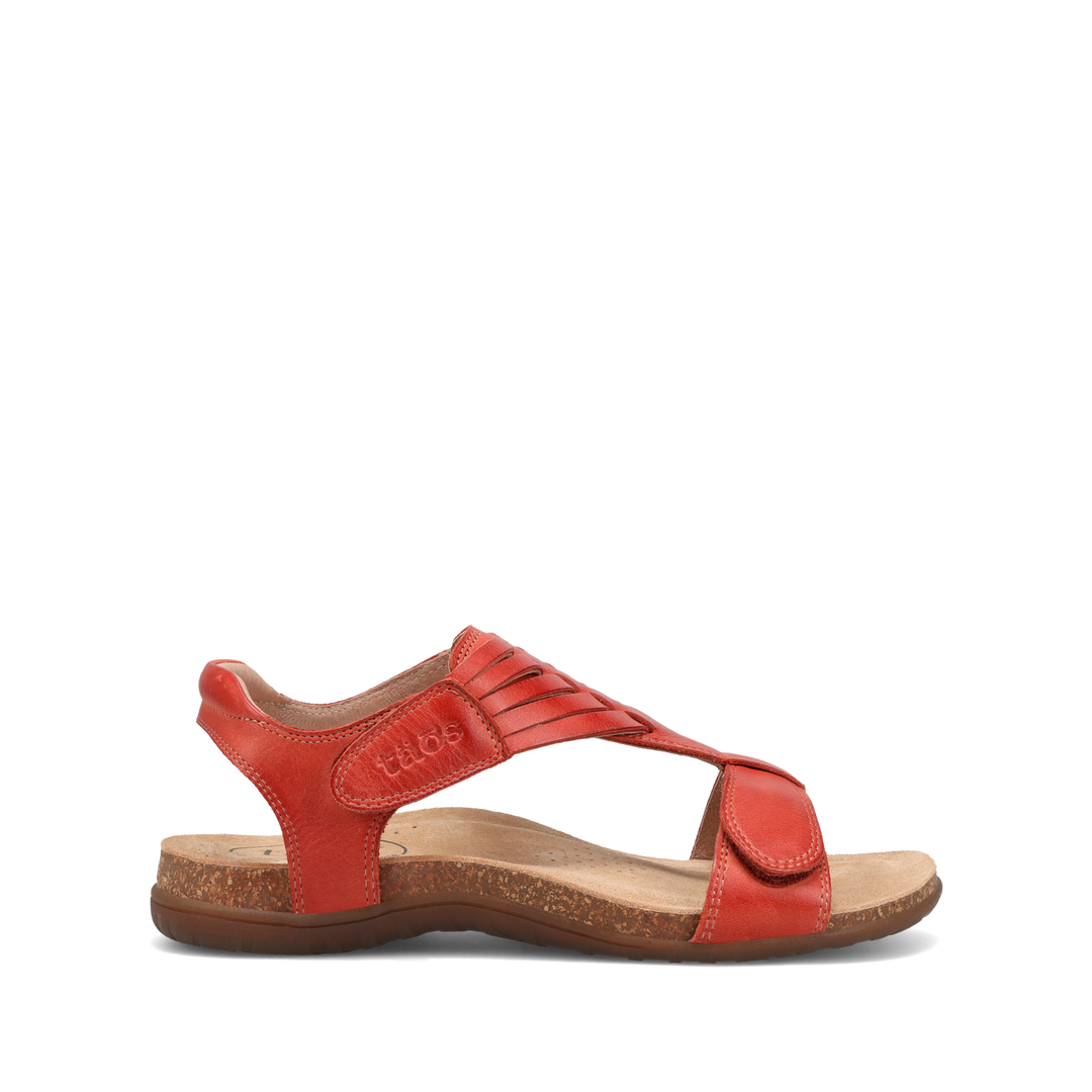 Outside Image of Wonderful Bruschetta 6