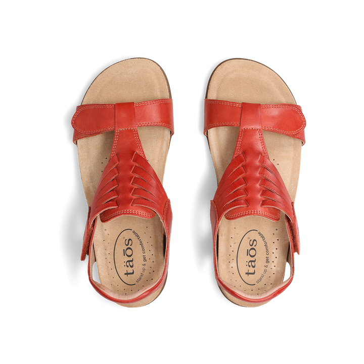 Top down Image of Wonderful Bruschetta 6