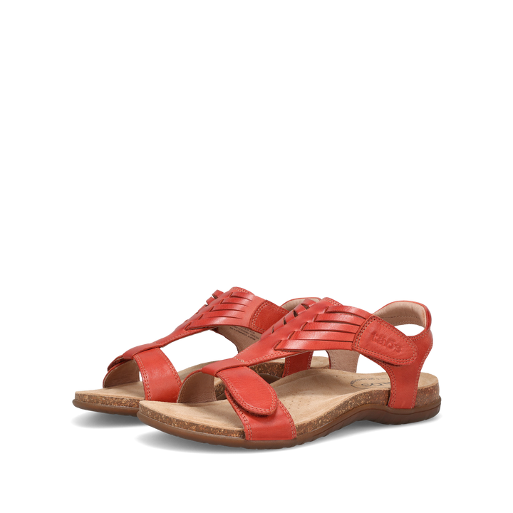 Pair Image of Wonderful Bruschetta 6