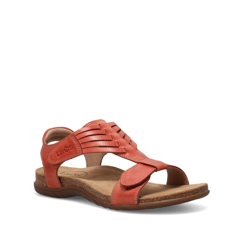 Hero Image of Wonderful Bruschetta 6